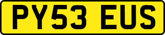 PY53EUS