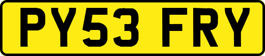 PY53FRY