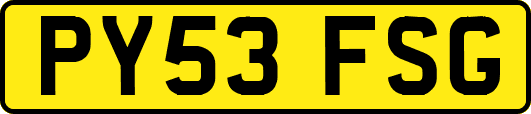 PY53FSG