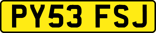 PY53FSJ