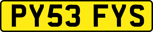 PY53FYS