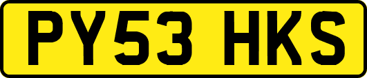 PY53HKS