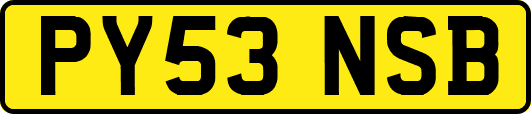 PY53NSB