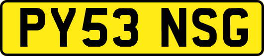PY53NSG