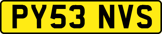 PY53NVS