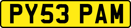 PY53PAM