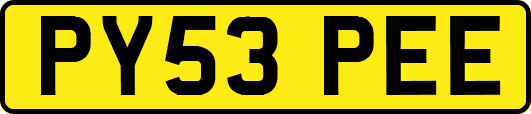 PY53PEE