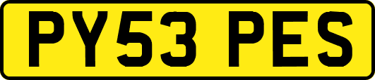 PY53PES