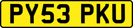PY53PKU