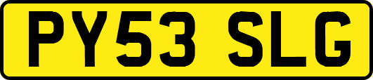 PY53SLG