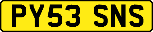 PY53SNS