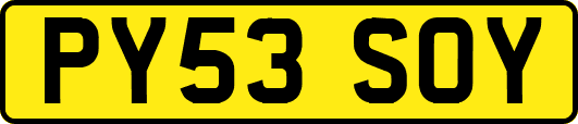 PY53SOY