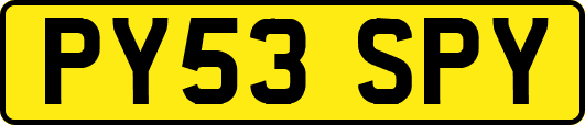 PY53SPY