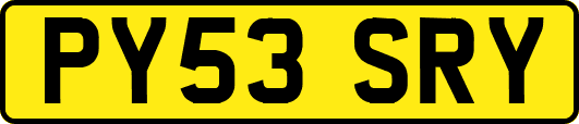 PY53SRY