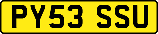 PY53SSU