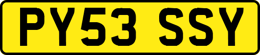 PY53SSY