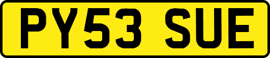 PY53SUE