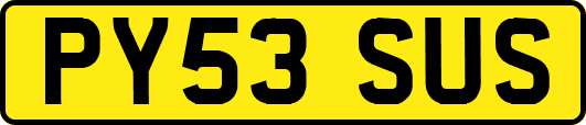 PY53SUS