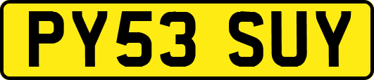 PY53SUY