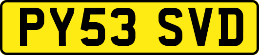 PY53SVD