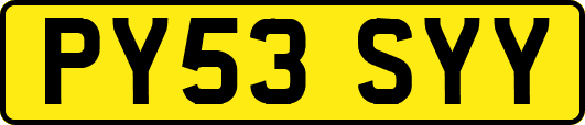 PY53SYY