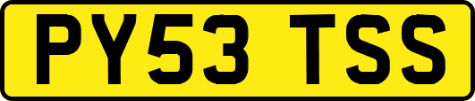 PY53TSS