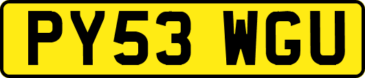 PY53WGU