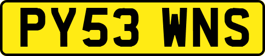 PY53WNS
