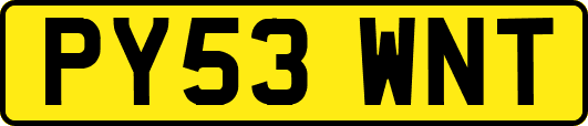 PY53WNT
