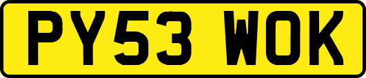 PY53WOK