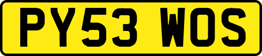 PY53WOS