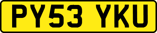 PY53YKU