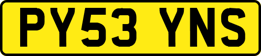 PY53YNS