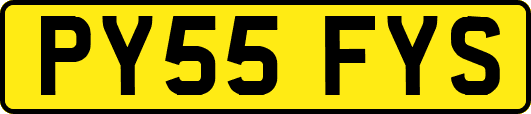 PY55FYS