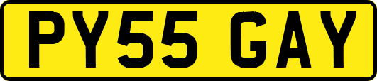 PY55GAY