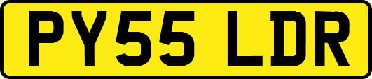 PY55LDR