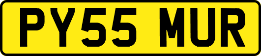 PY55MUR