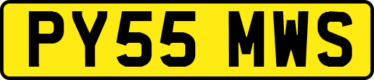 PY55MWS