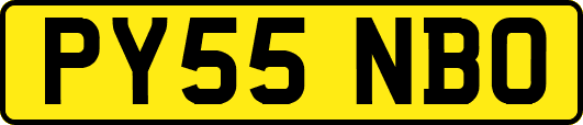PY55NBO