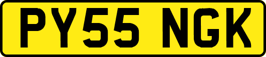 PY55NGK