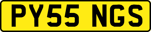 PY55NGS