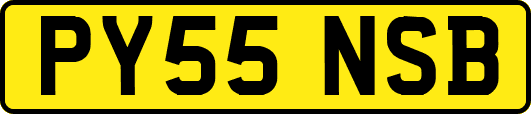 PY55NSB