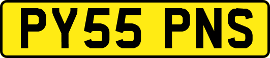 PY55PNS