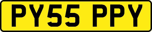 PY55PPY