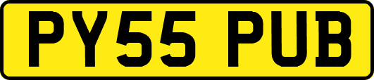 PY55PUB