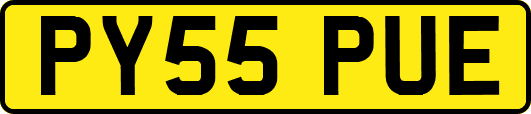 PY55PUE