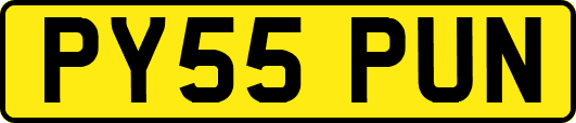 PY55PUN