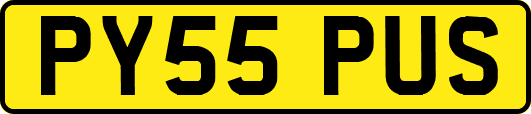 PY55PUS