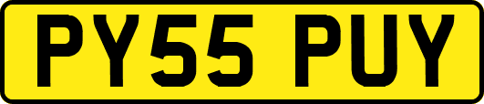 PY55PUY