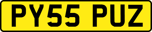 PY55PUZ
